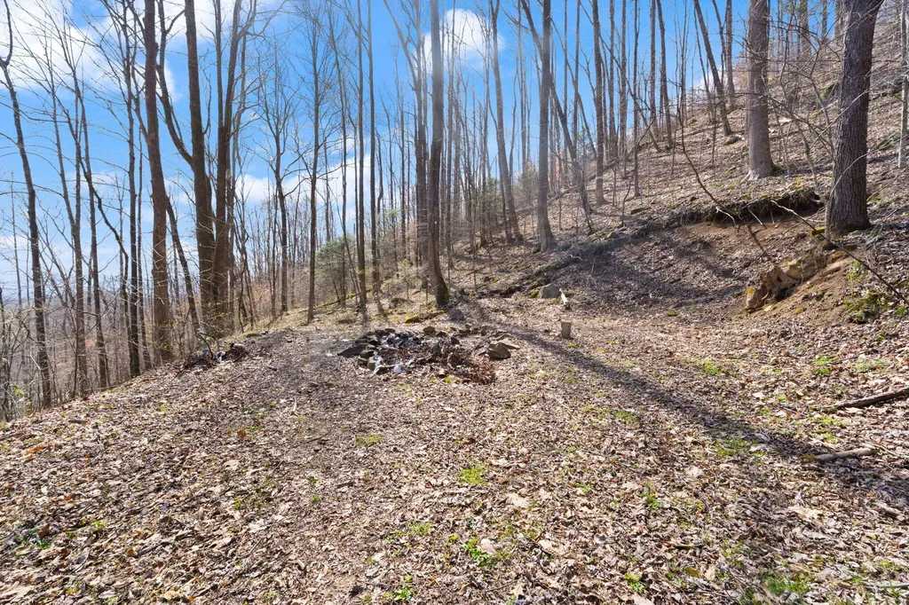 1197 Beans Fork Road Middlesboro KY 40965