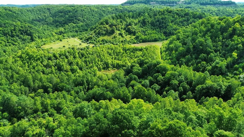 3800A Butcher Hollow Road Van Lear KY 41265