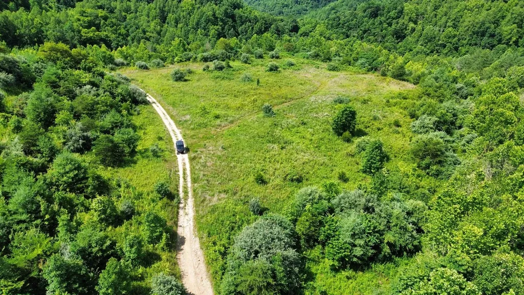 3800A Butcher Hollow Road Van Lear KY 41265