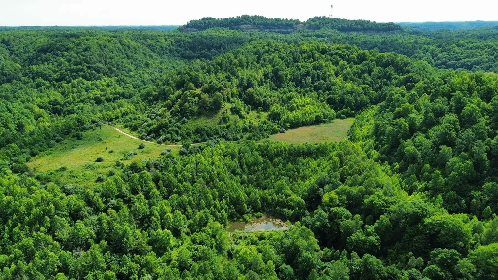 3800A Butcher Hollow Road Van Lear KY 41265