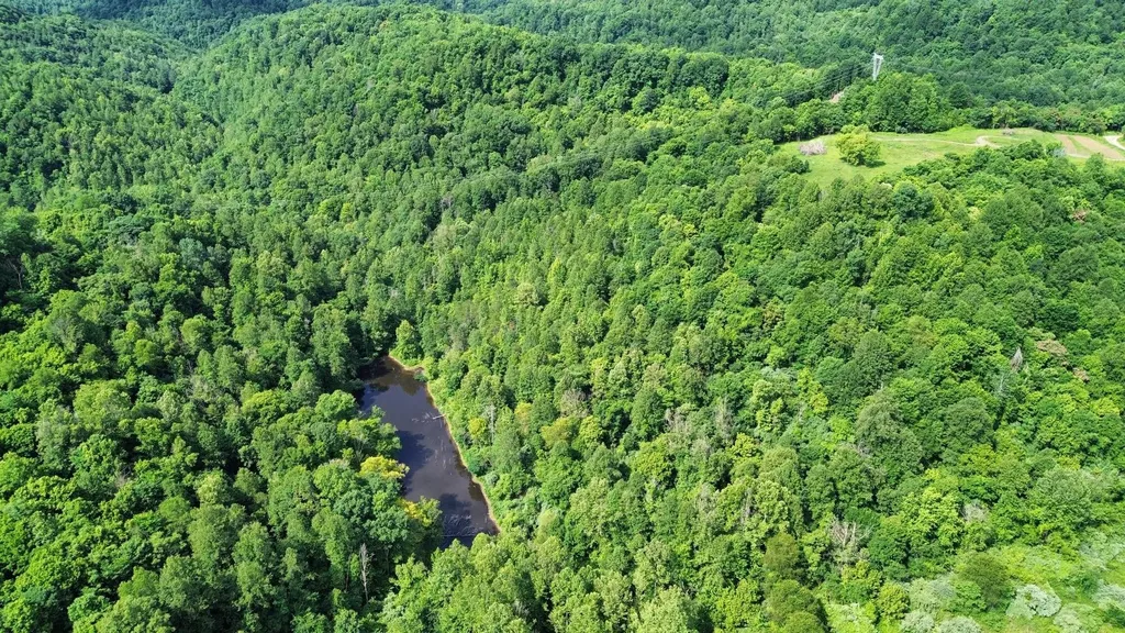 3800A Butcher Hollow Road Van Lear KY 41265