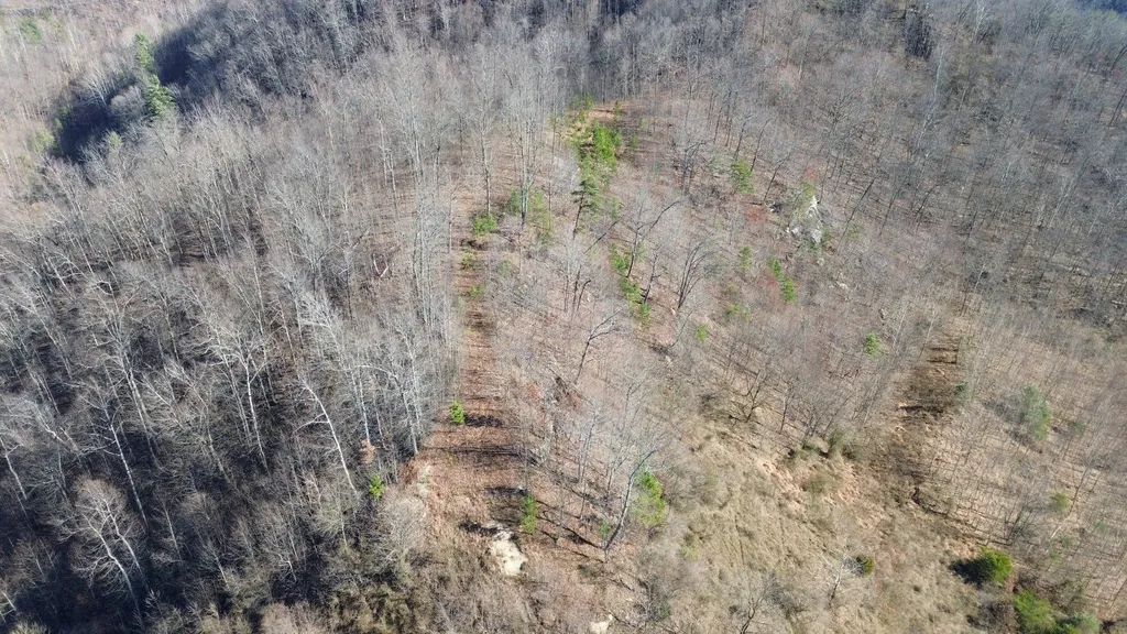 3800A Butcher Hollow Road Van Lear KY 41265