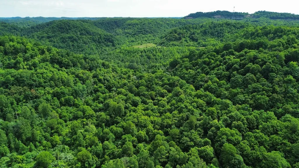 3800A Butcher Hollow Road Van Lear KY 41265