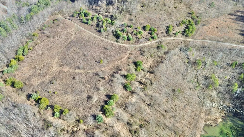 3800A Butcher Hollow Road Van Lear KY 41265