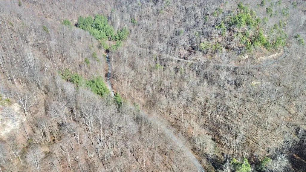 3800A Butcher Hollow Road Van Lear KY 41265