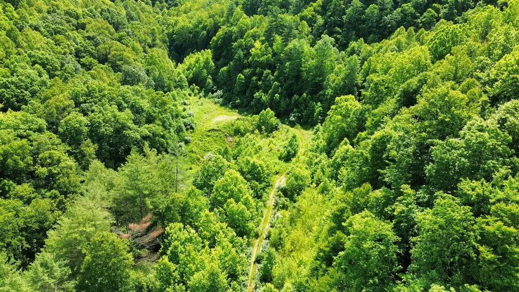 3800A Butcher Hollow Road Van Lear KY 41265