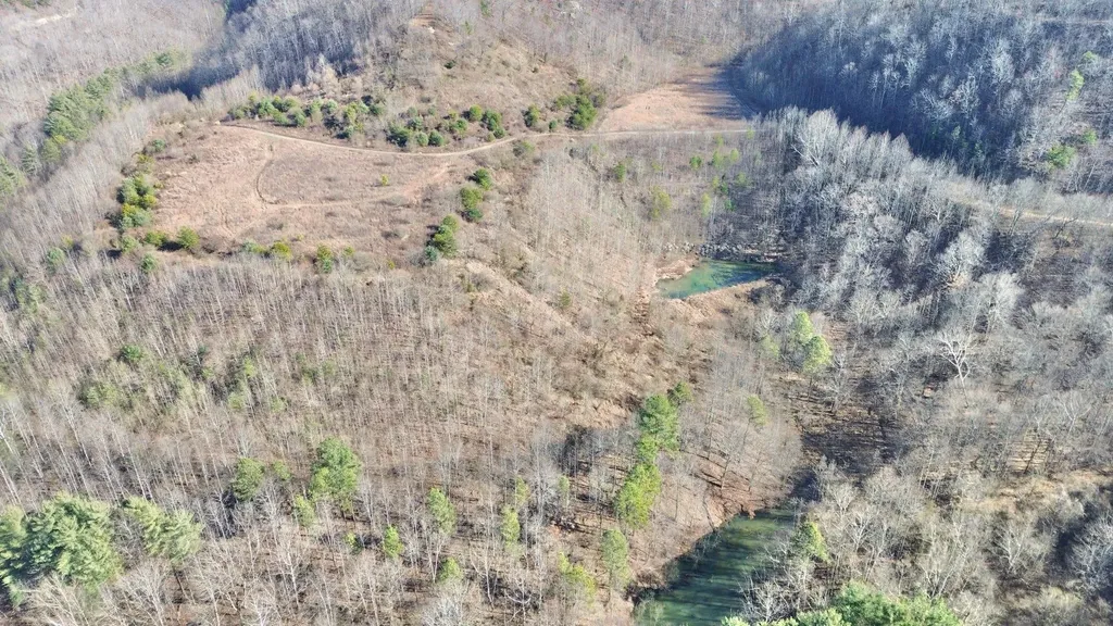 3800A Butcher Hollow Road Van Lear KY 41265