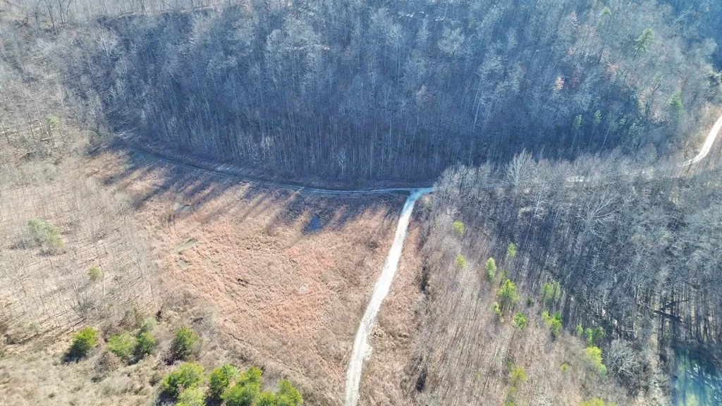 3800A Butcher Hollow Road Van Lear KY 41265
