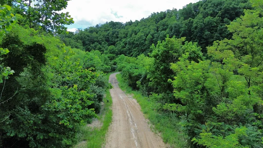 3800A Butcher Hollow Road Van Lear KY 41265