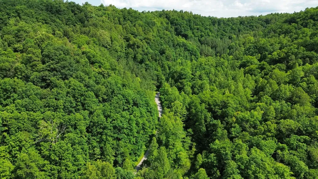 3800A Butcher Hollow Road Van Lear KY 41265