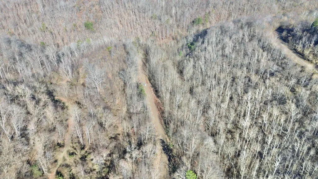 3800A Butcher Hollow Road Van Lear KY 41265