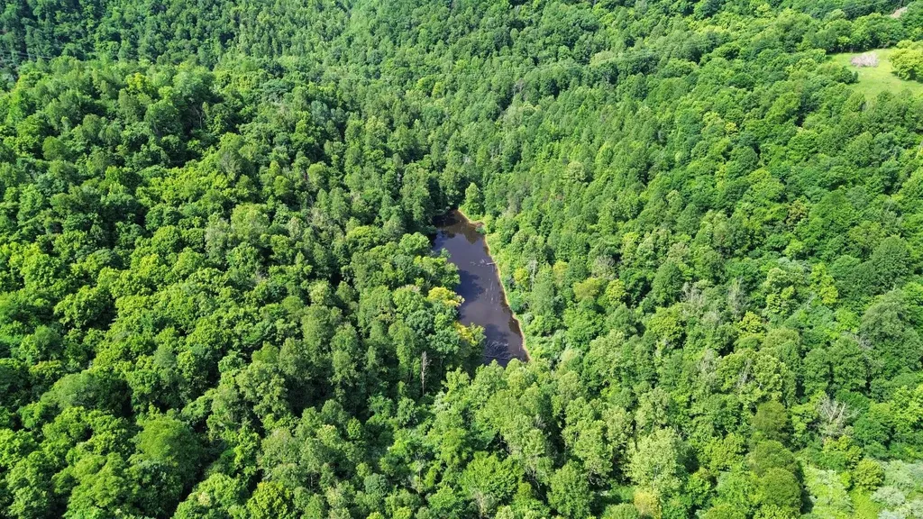 3800A Butcher Hollow Road Van Lear KY 41265