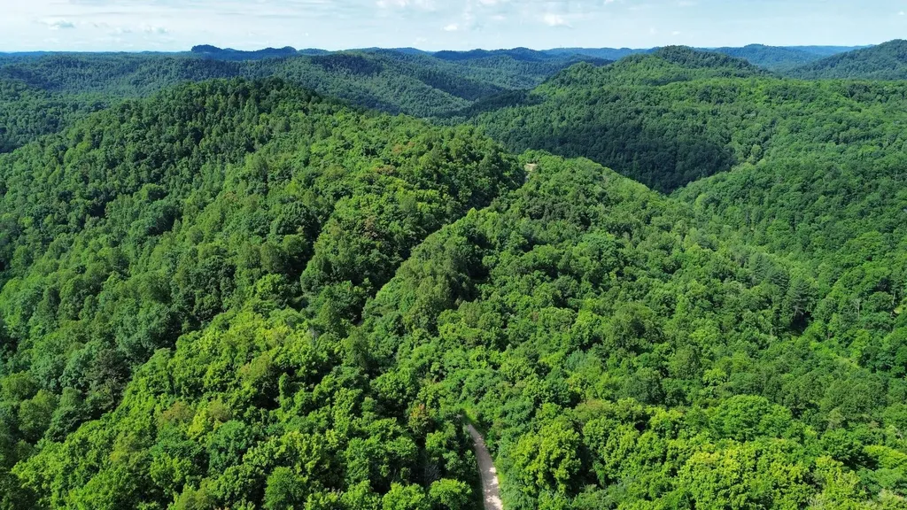 3800A Butcher Hollow Road Van Lear KY 41265