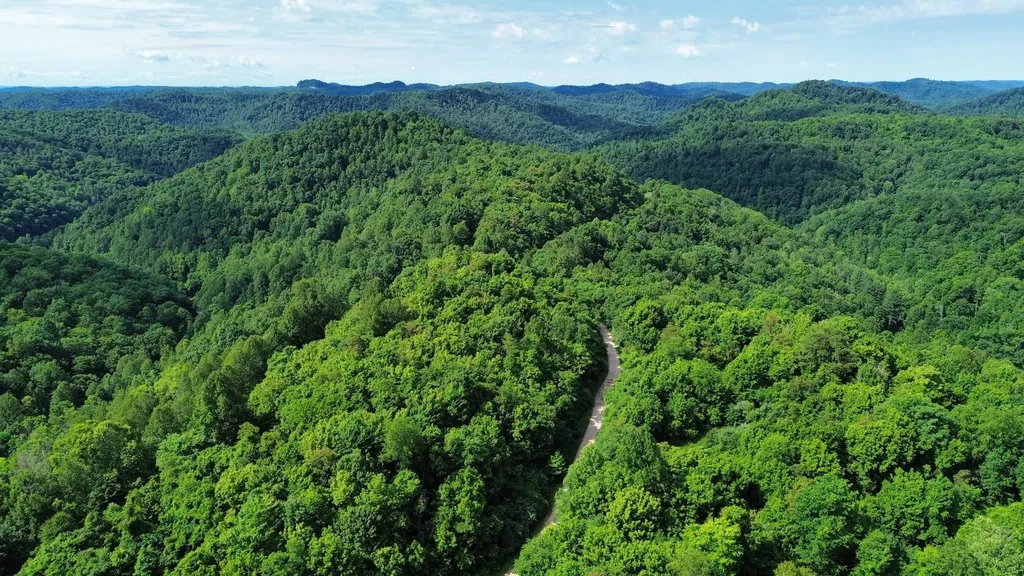 3800A Butcher Hollow Road Van Lear KY 41265
