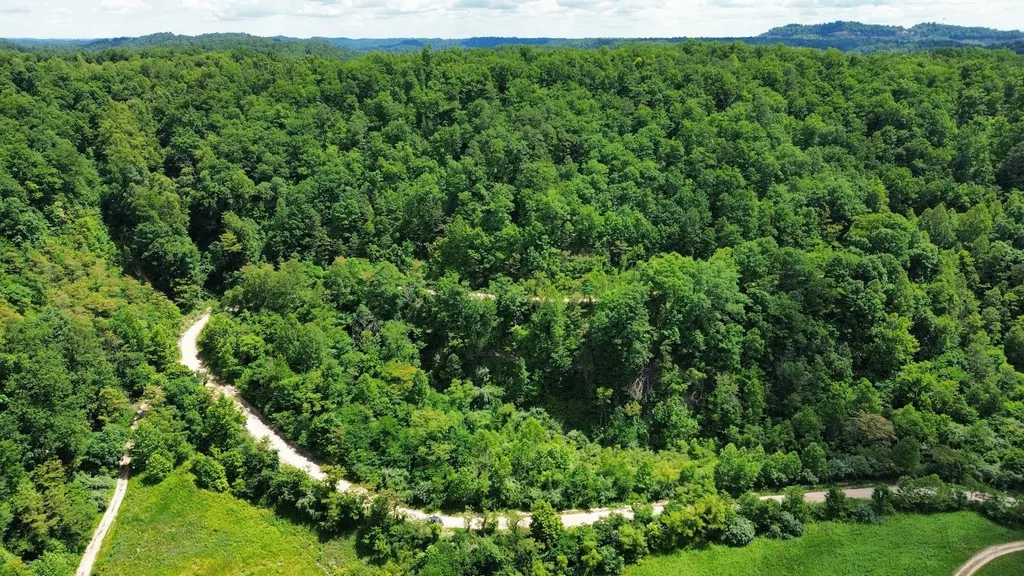3800A Butcher Hollow Road Van Lear KY 41265