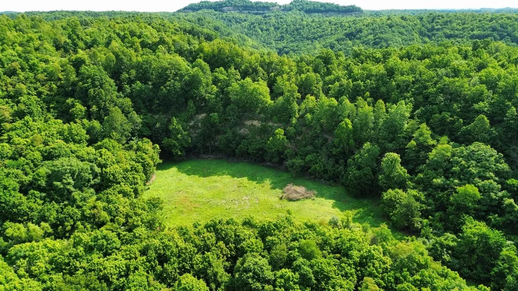 3800A Butcher Hollow Road Van Lear KY 41265