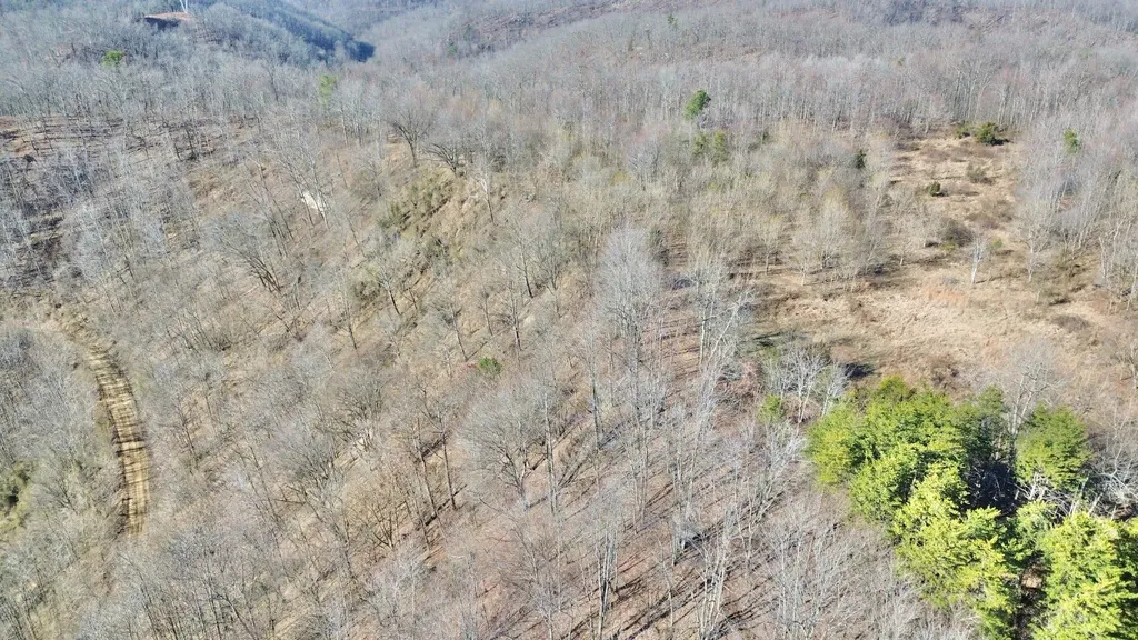 3800A Butcher Hollow Road Van Lear KY 41265
