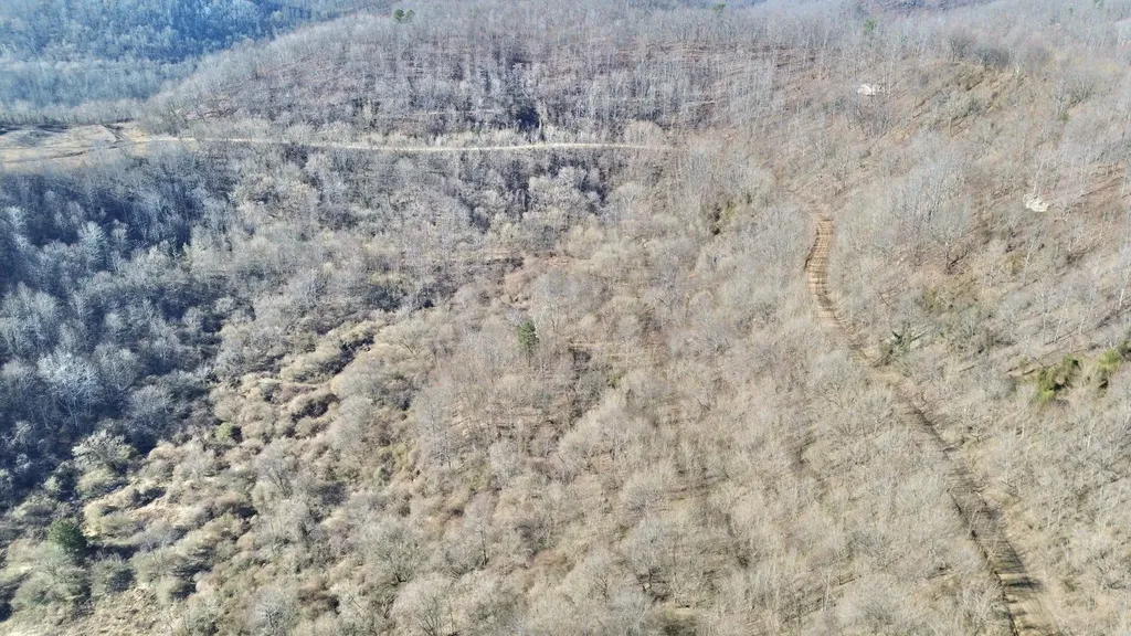 3800A Butcher Hollow Road Van Lear KY 41265