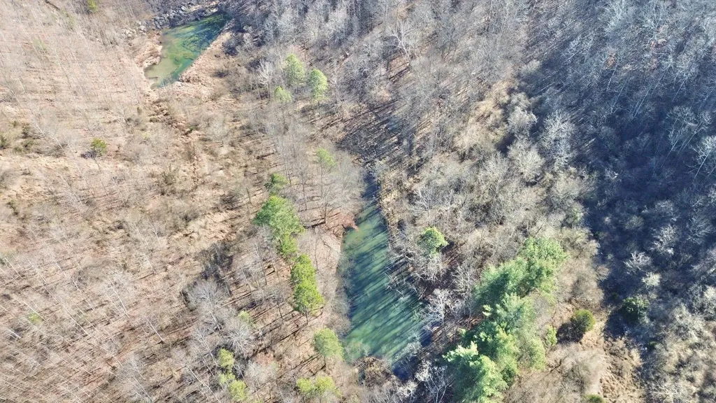 3800A Butcher Hollow Road Van Lear KY 41265