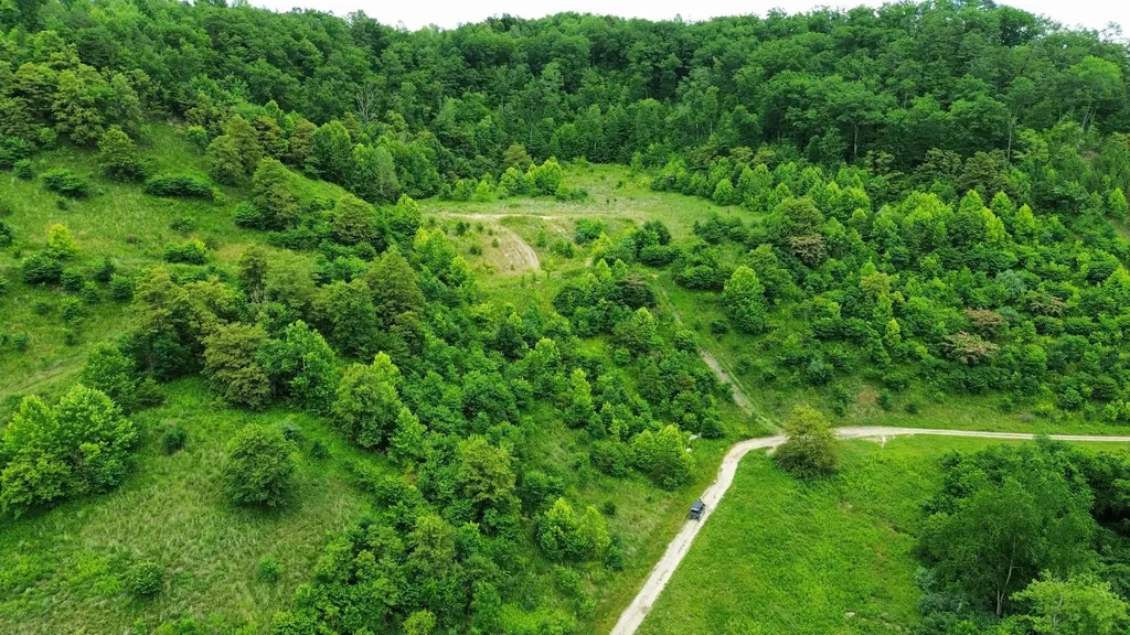 3800A Butcher Hollow Road Van Lear KY 41265