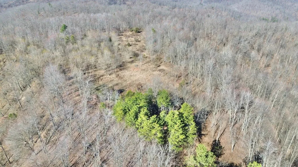 3800A Butcher Hollow Road Van Lear KY 41265
