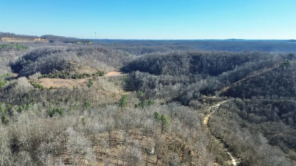 3800A Butcher Hollow Road Van Lear KY 41265