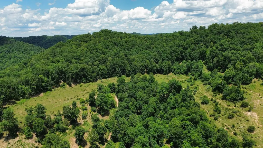 3800A Butcher Hollow Road Van Lear KY 41265