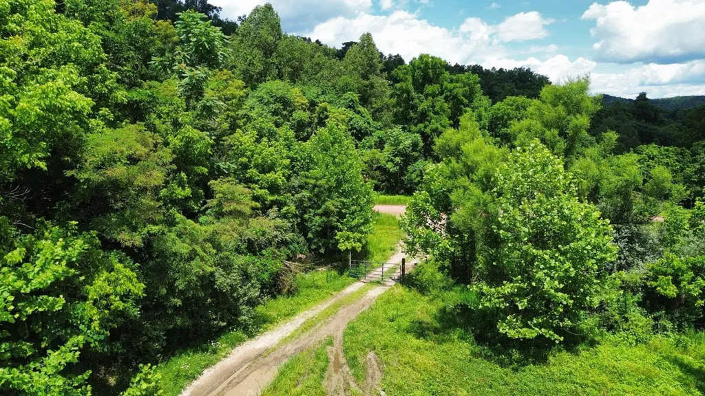 3800A Butcher Hollow Road Van Lear KY 41265