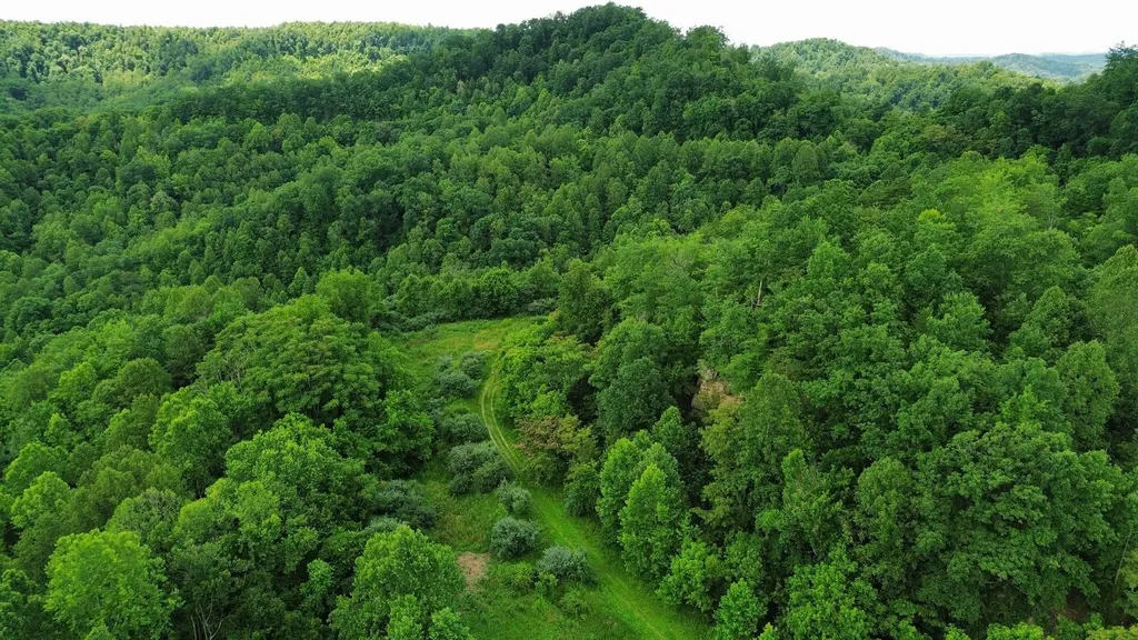 3800A Butcher Hollow Road Van Lear KY 41265