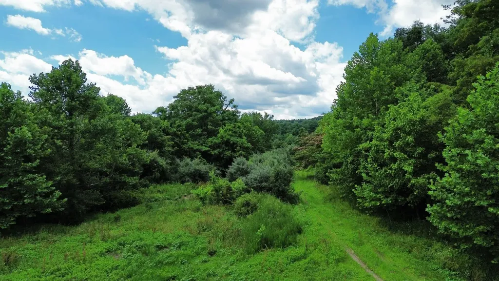 3800A Butcher Hollow Road Van Lear KY 41265