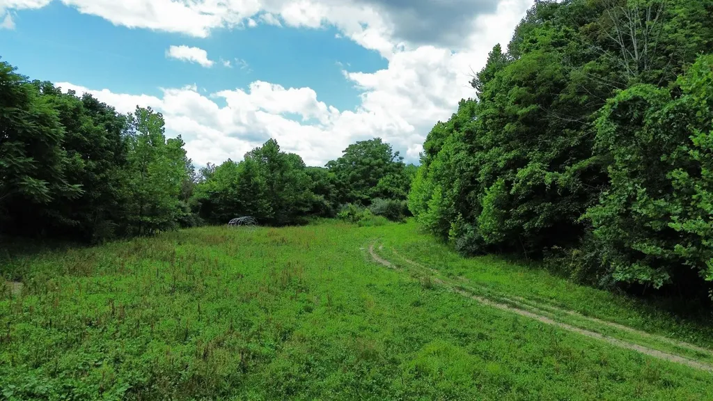3800A Butcher Hollow Road Van Lear KY 41265