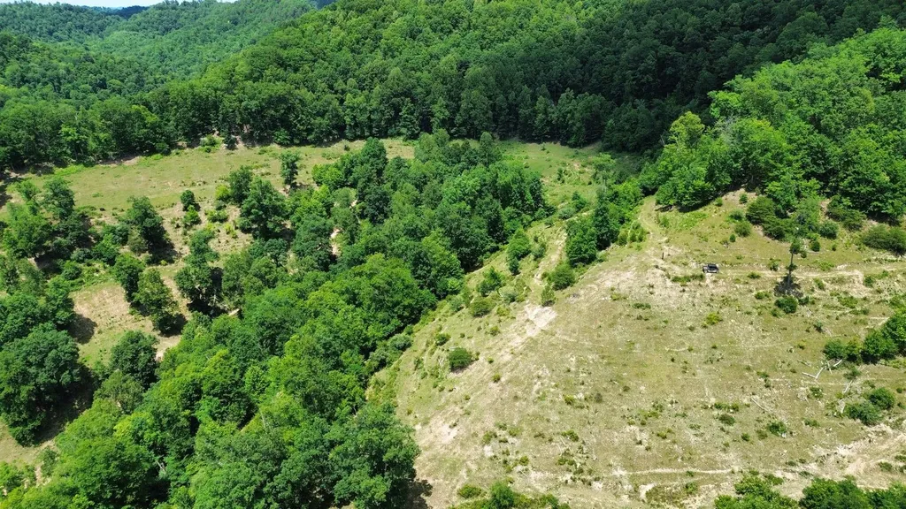 3800A Butcher Hollow Road Van Lear KY 41265