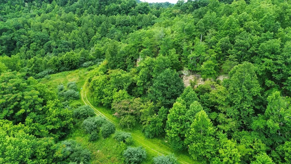 3800A Butcher Hollow Road Van Lear KY 41265
