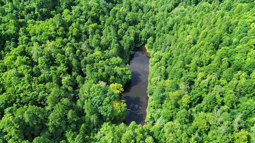 3800A Butcher Hollow Road Van Lear KY 41265