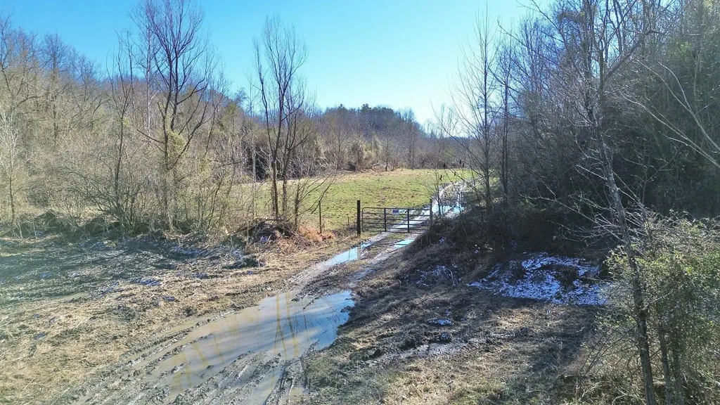 3800A Butcher Hollow Road Van Lear KY 41265
