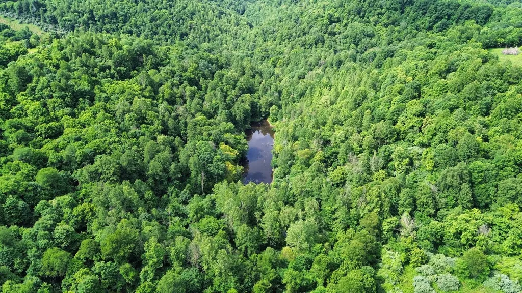 3800A Butcher Hollow Road Van Lear KY 41265