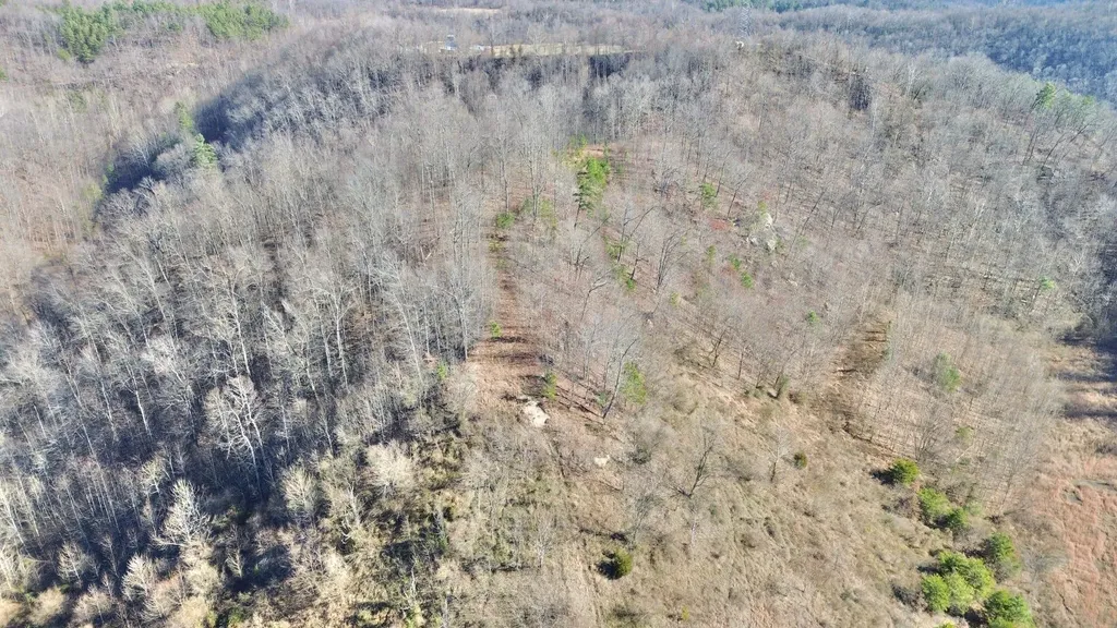 3800A Butcher Hollow Road Van Lear KY 41265
