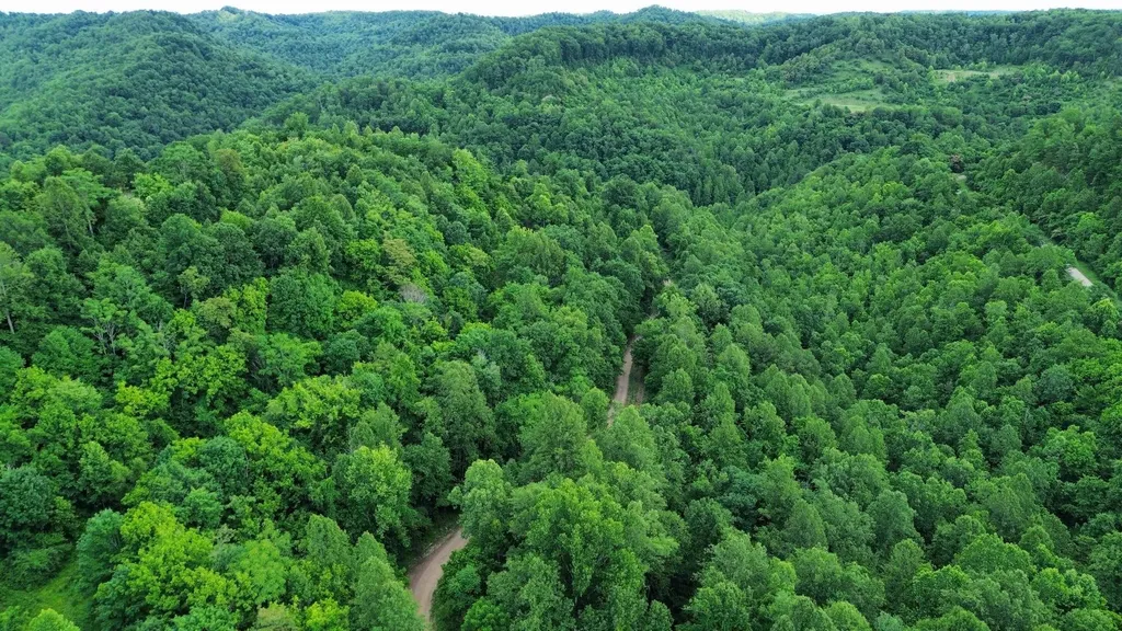 3800A Butcher Hollow Road Van Lear KY 41265