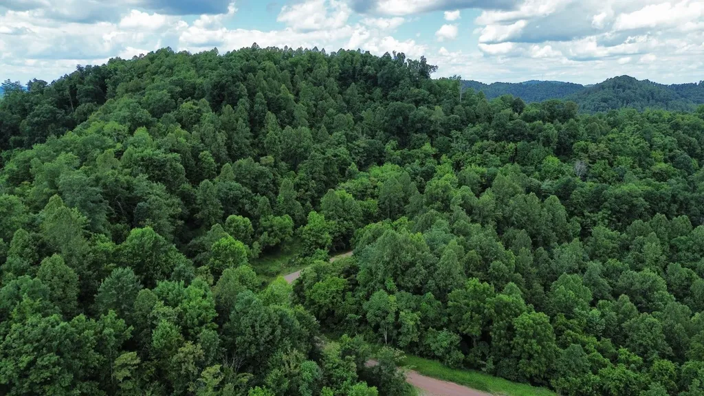 3800A Butcher Hollow Road Van Lear KY 41265
