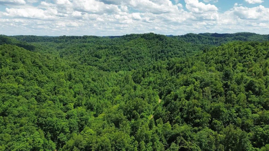 3800A Butcher Hollow Road Van Lear KY 41265