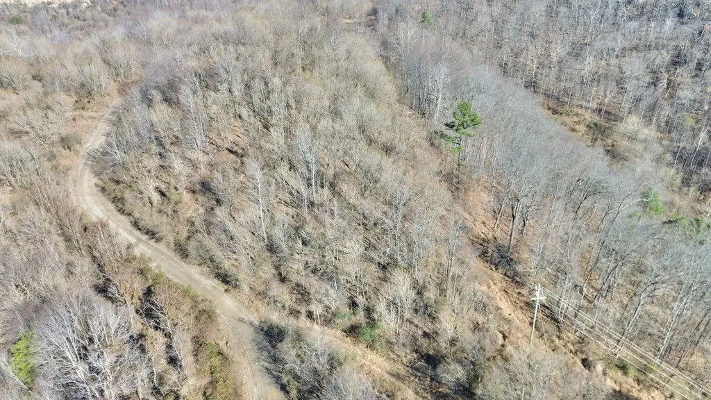 3800A Butcher Hollow Road Van Lear KY 41265