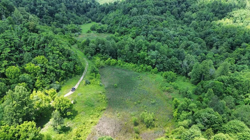 3800A Butcher Hollow Road Van Lear KY 41265