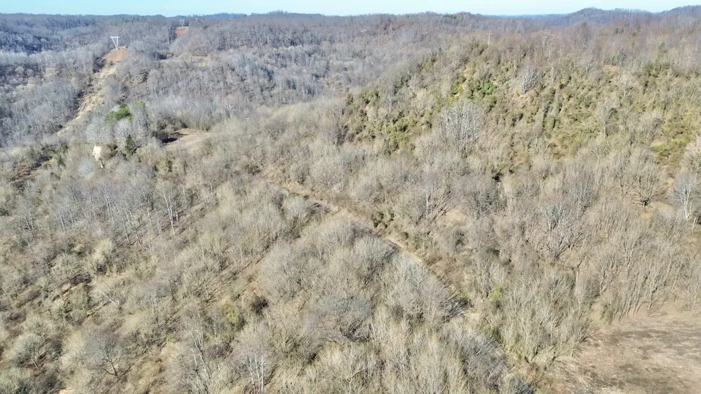 3800A Butcher Hollow Road Van Lear KY 41265