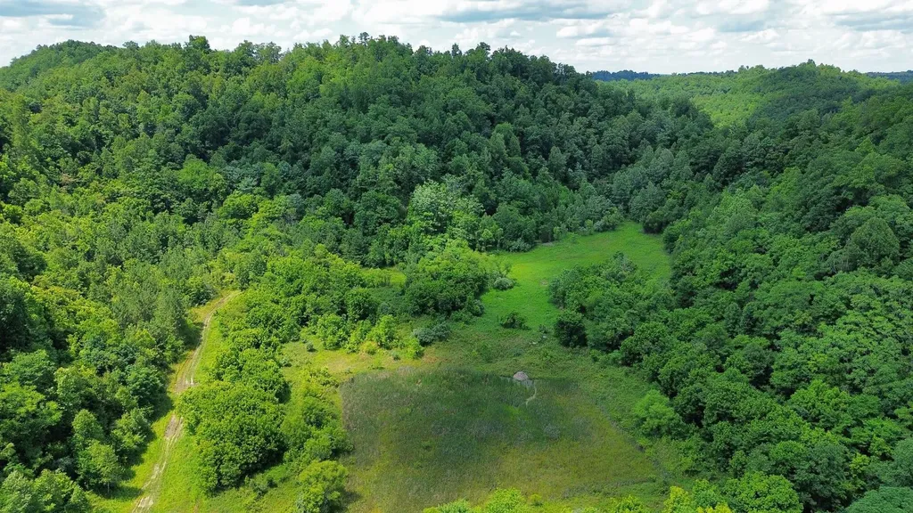 3800A Butcher Hollow Road Van Lear KY 41265
