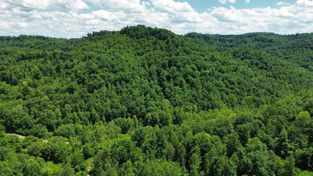 3800A Butcher Hollow Road Van Lear KY 41265