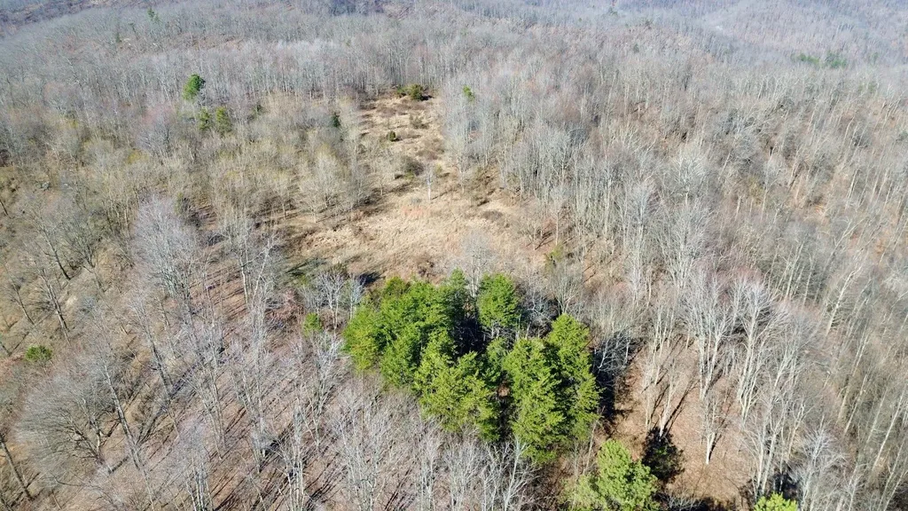 3800A Butcher Hollow Road Van Lear KY 41265