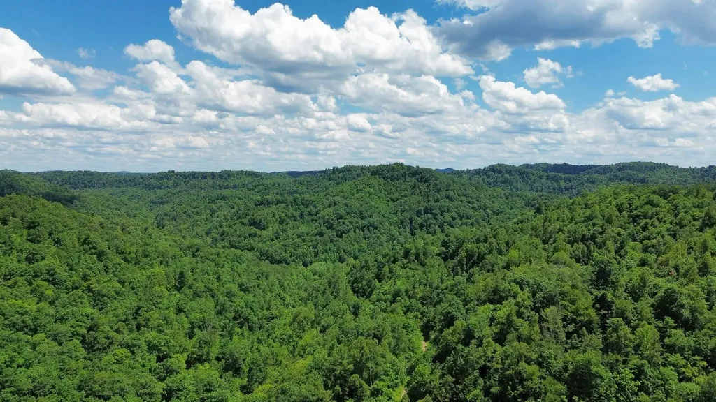 3800A Butcher Hollow Road Van Lear KY 41265