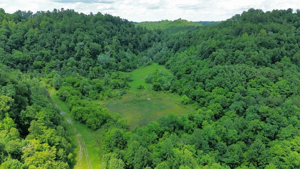 3800A Butcher Hollow Road Van Lear KY 41265