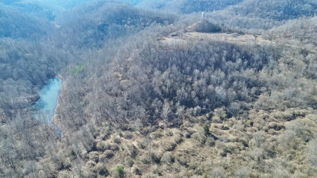 3800A Butcher Hollow Road Van Lear KY 41265