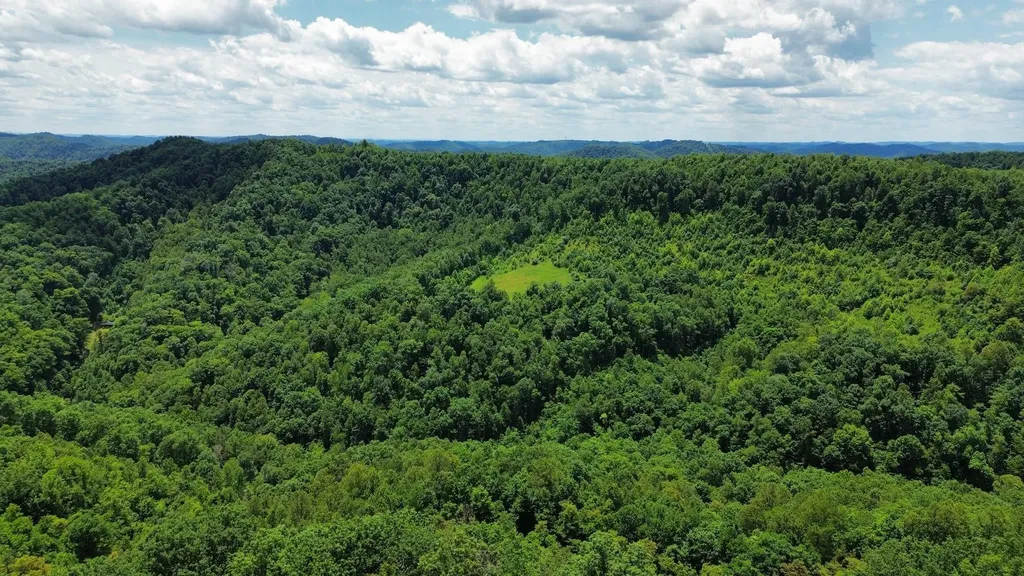 3800A Butcher Hollow Road Van Lear KY 41265